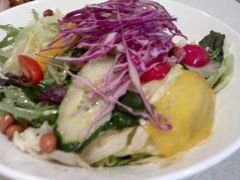 -宏宴·新京菜(望京店)