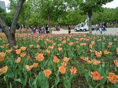 -长春公园(普阳街道)