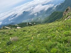 -白草畔自然风景区
