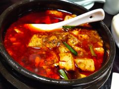 -陈麻婆豆腐总店