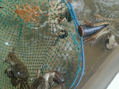 -乡乐园蟹庄·阳澄湖农家乐