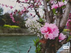 -蜀绣公园