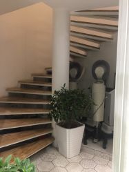大厅-付军剪艺