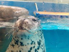 -成都浩海立方海洋公园