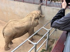 -西霞口神雕山野生动物世界