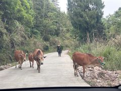 -楠溪江风景名胜区