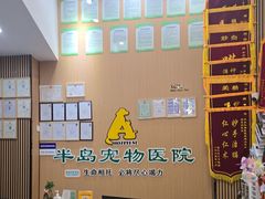 -半岛宠物医院24小时·内窥镜·牙科·碎石中心(府城大道店)