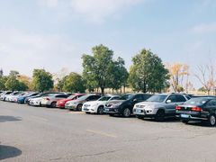 场地-前滩友城公园-停车场