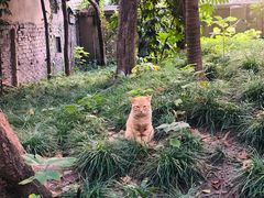 -常熟路(地铁站)