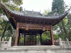 -汇龙潭