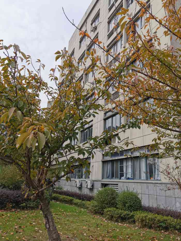 浙江传媒学院(下沙校区)-""北有北广,南有浙广""北有中传,南有浙.