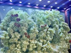 -鸿运楼·舌尖上的徽菜