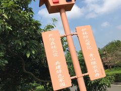 -大屏嶂森林公园