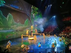 -重庆国际马戏城