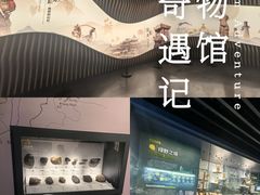 -四川大学博物馆