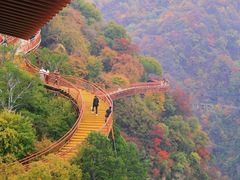 -少华山国家森林公园