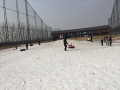 -万源龙顺度假庄园生态观光园