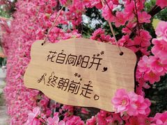 -北京凤凰岭