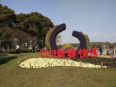 -昆山城市生态森林公园