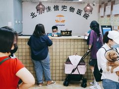 -北京佳信宠物医院