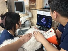 -东日国际动物医院·CT·心脏专科(桃源分院)