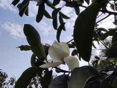 -会稽山峡洞漂流-上青古道