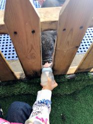 -萌宠亲子动物乐园(槐房万达店)