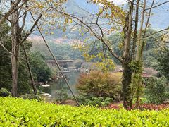 -羡餐厅·杭帮菜·淳菜(千岛湖自由洲际殿店)