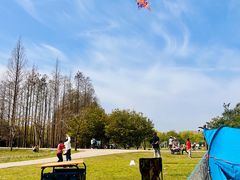 -上海共青森林公园