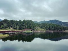 -海南热带雨林国家公园吊罗山景区