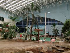 -龙脉温泉室内游泳馆