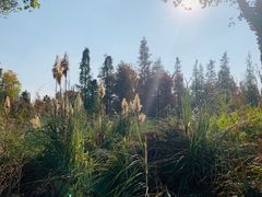 -艾溪湖湿地公园