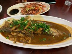 盐水白虾-宾湖农庄·农场特色(太湖龙之梦店)