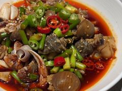 -大锅强·蒸海鲜青岛菜(吾悦广场店)