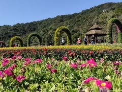 -广州市石门国家森林公园