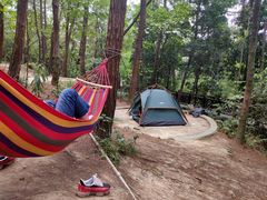 -铁山坪森林公园