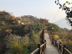-大岭沟猕猴桃谷风景区