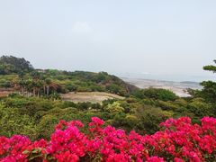 -广州莲花山旅游区