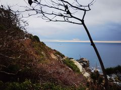 -三亚蜈支洲岛旅游区