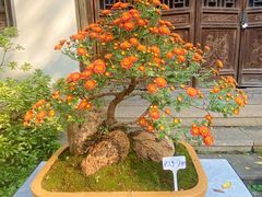 -惠山古镇·寄畅园