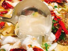 -姚姚酸菜鱼·金戈戈香港豉油鸡(喜荟城联名店)