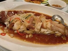 -老洋房花园饭店(绍兴路店)