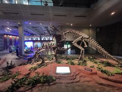 -自贡恐龙博物馆