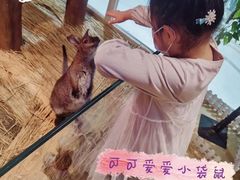 -Mr·Kuma酷么先生雪之乐园