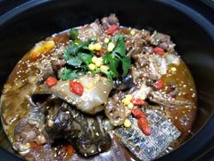 -甲大帅·甲鱼·椰子鸡主题餐厅(唐家店)