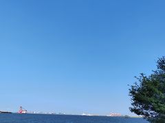 -上海滨江森林公园