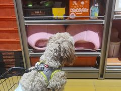 -MARSMART PETS火星宠物超市(1733店)