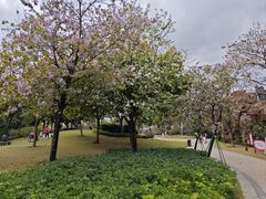-海珠儿童公园