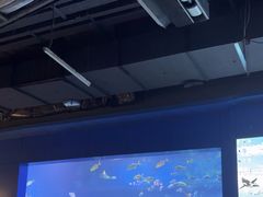 -重庆欢乐海底世界