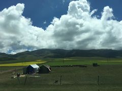 -青海湖国家重点风景名胜区